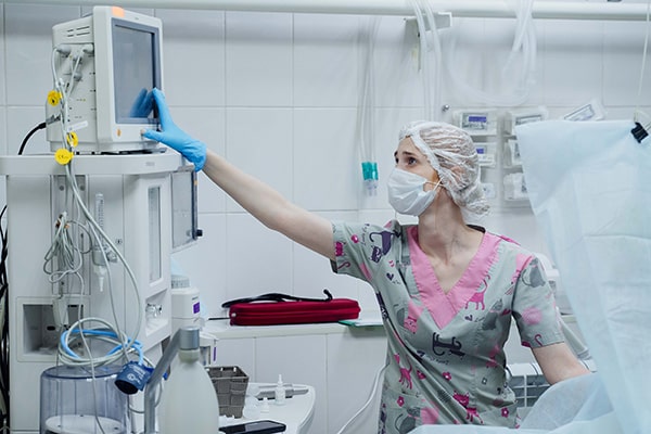 испозование анестезиологического оборудования в ветеринарной клиники Акелла